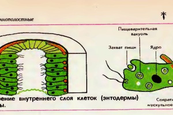 Где взять ссылку кракена