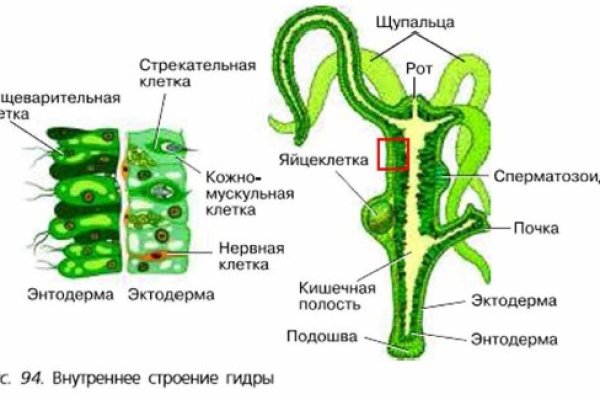 Как регистрироваться и заходить на кракен даркнет