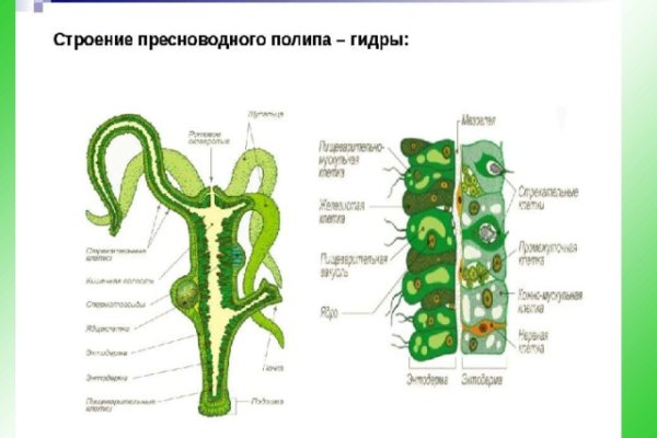 Kraken что это за сайт