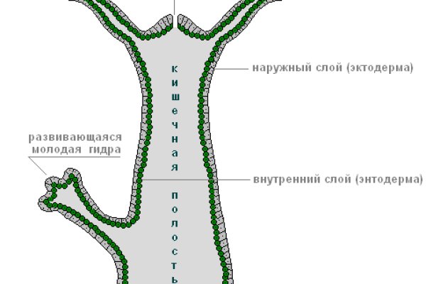 Какой кракен сейчас работает