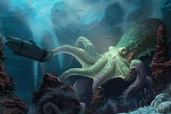 Kraken online